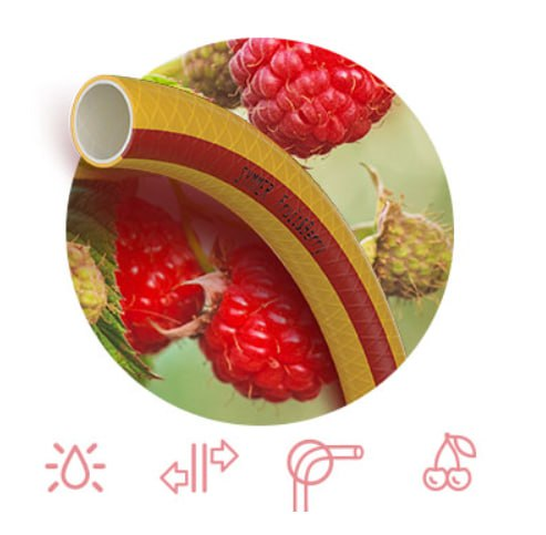 shlang20fruitberry20f201_2203020m.png shlang20fruitberry20f201_2203020m.png